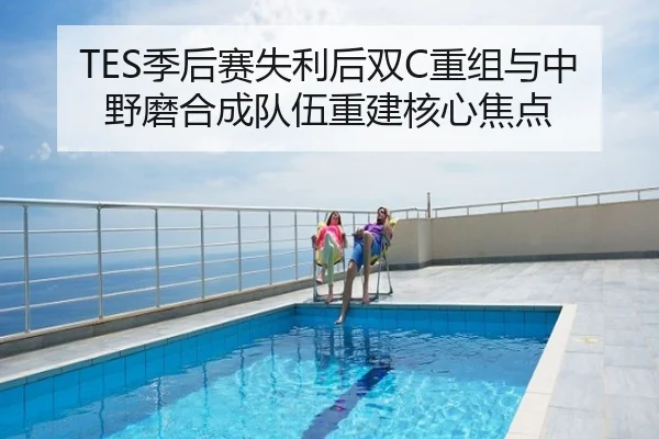 TES季后赛失利后双C重组与中野磨合成队伍重建核心焦点